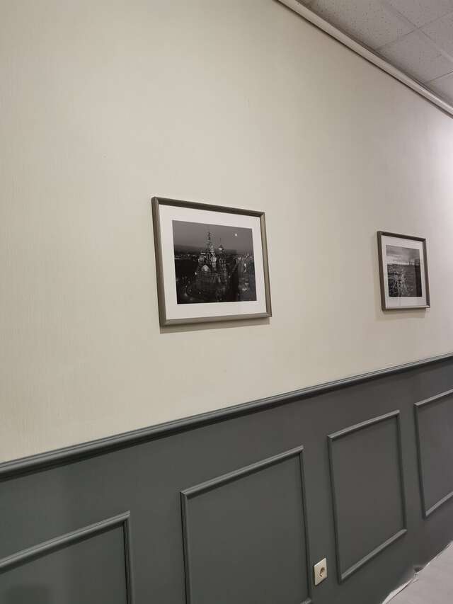 Гостиница Меридиан Санкт-Петербург-231