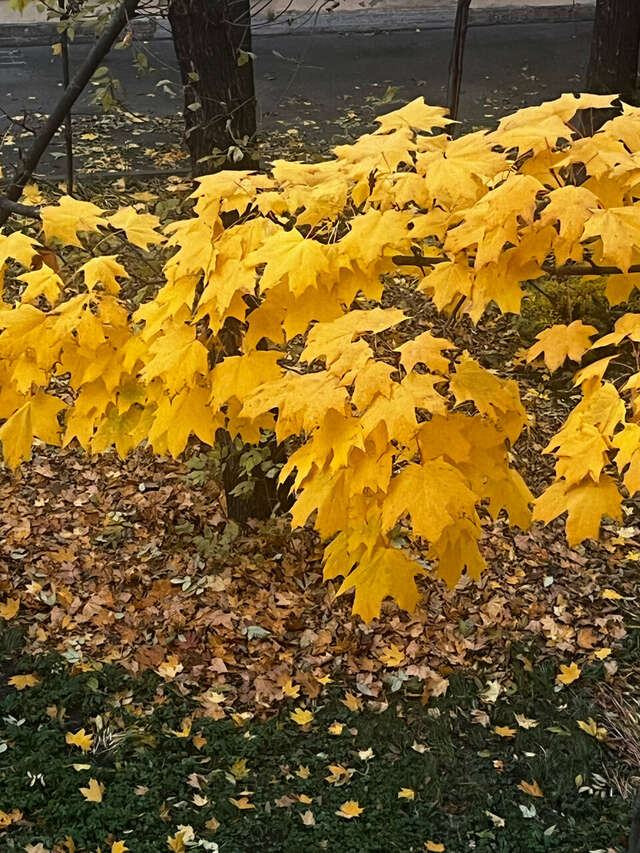 Гостиница Меридиан Санкт-Петербург-180